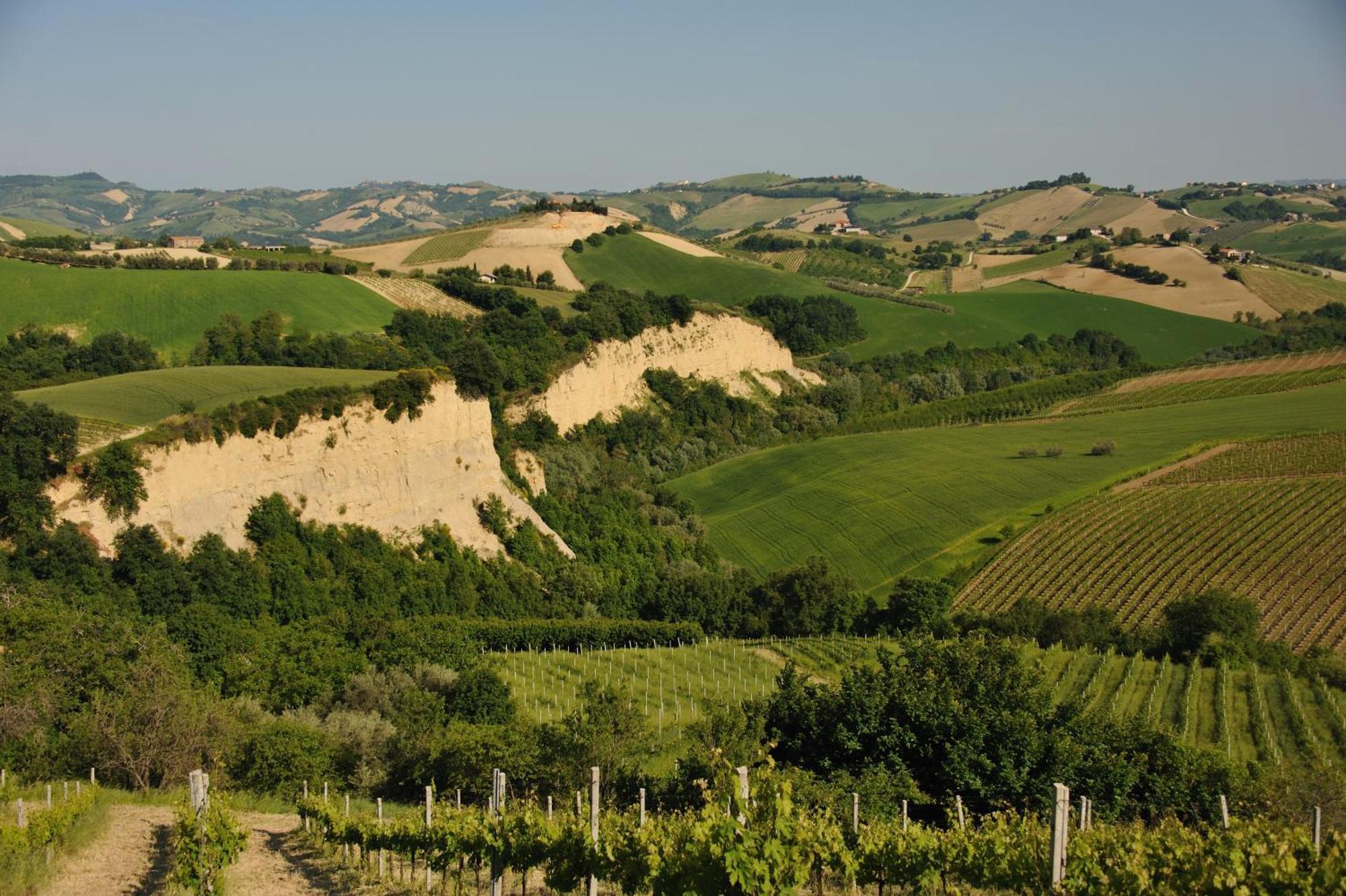 Agriturismo Fiorano Cossignano Exterior photo